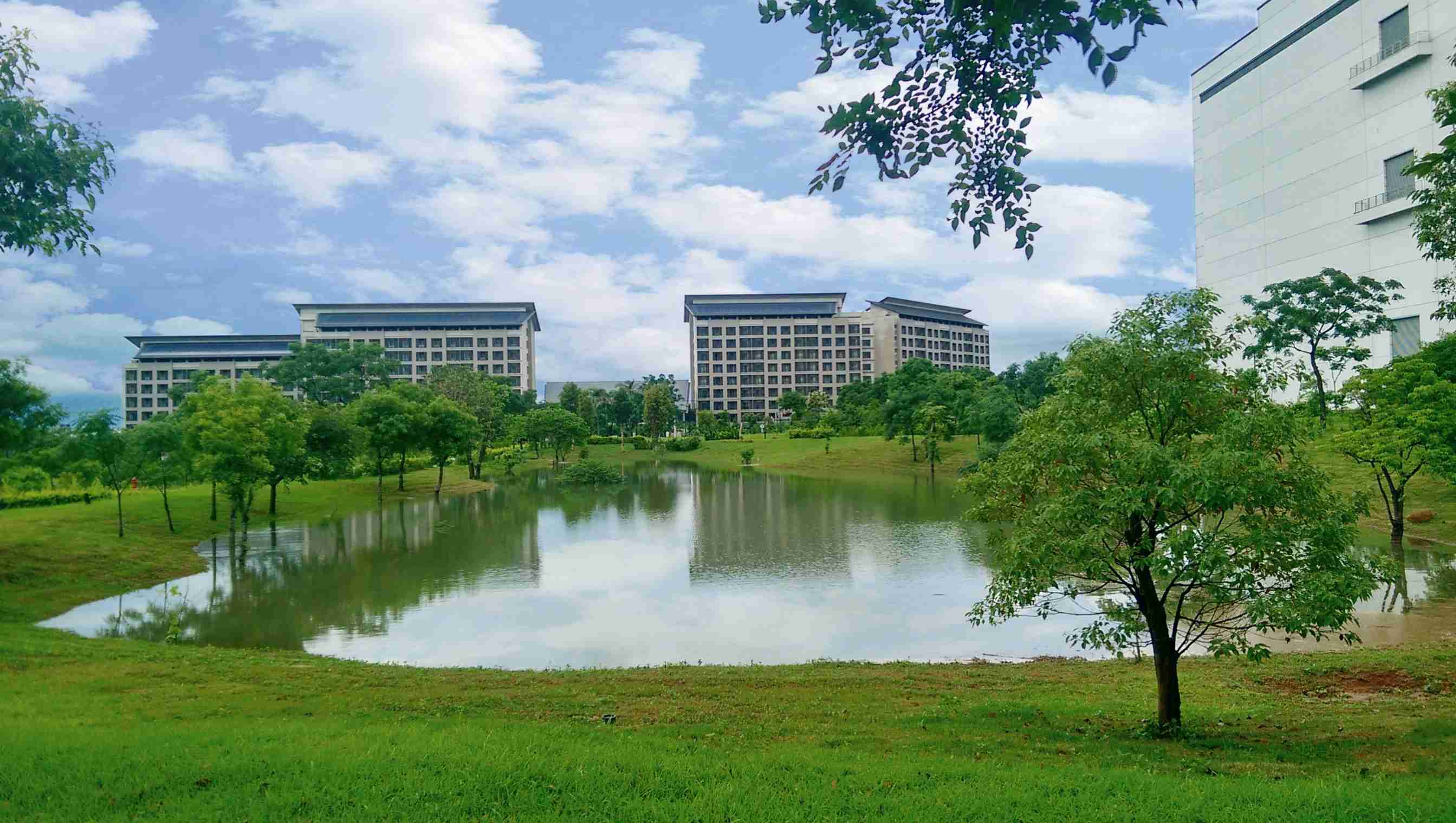 龙门国际响应国际倡议生物多样性趋势，，首次发布TNFD自然相关财务揭露报告书，，，，擘划及开展龙门国际生物多样性政策之承诺，，，，逐步迈向与自然和谐共生